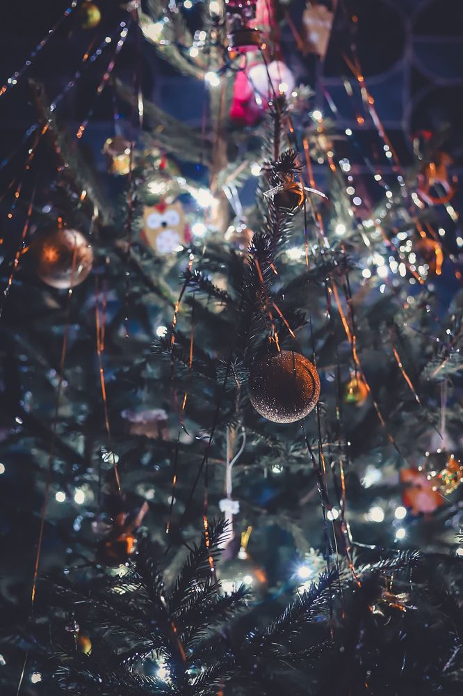 Photograph by Руслана Ковалевская