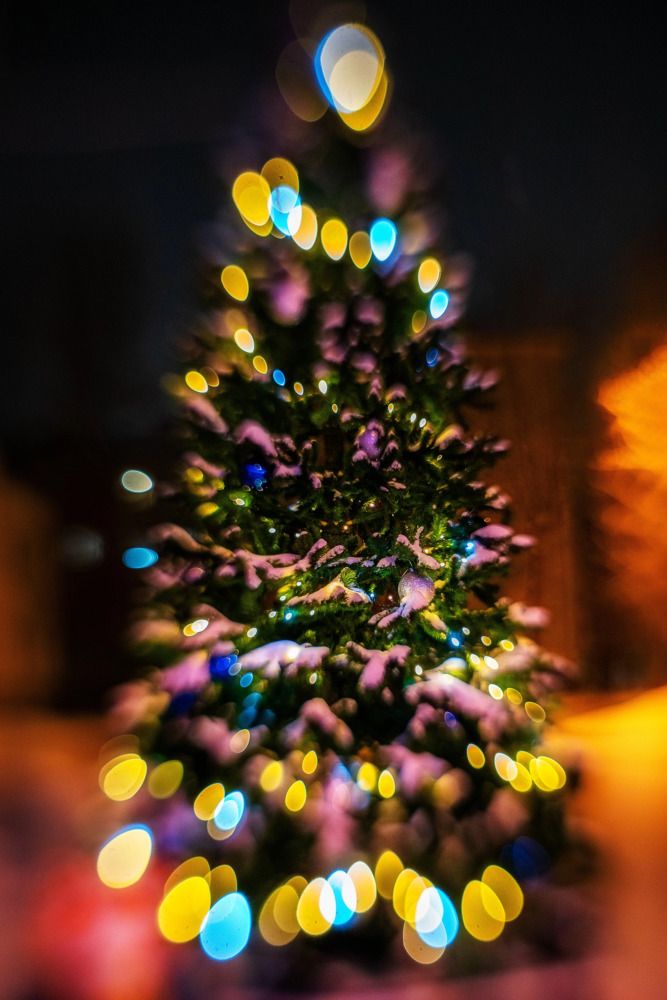 Photograph by Анастасия Глазюк