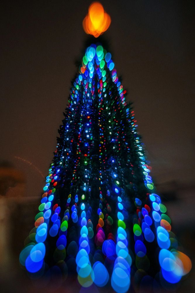 Photograph by Анастасия Глазюк