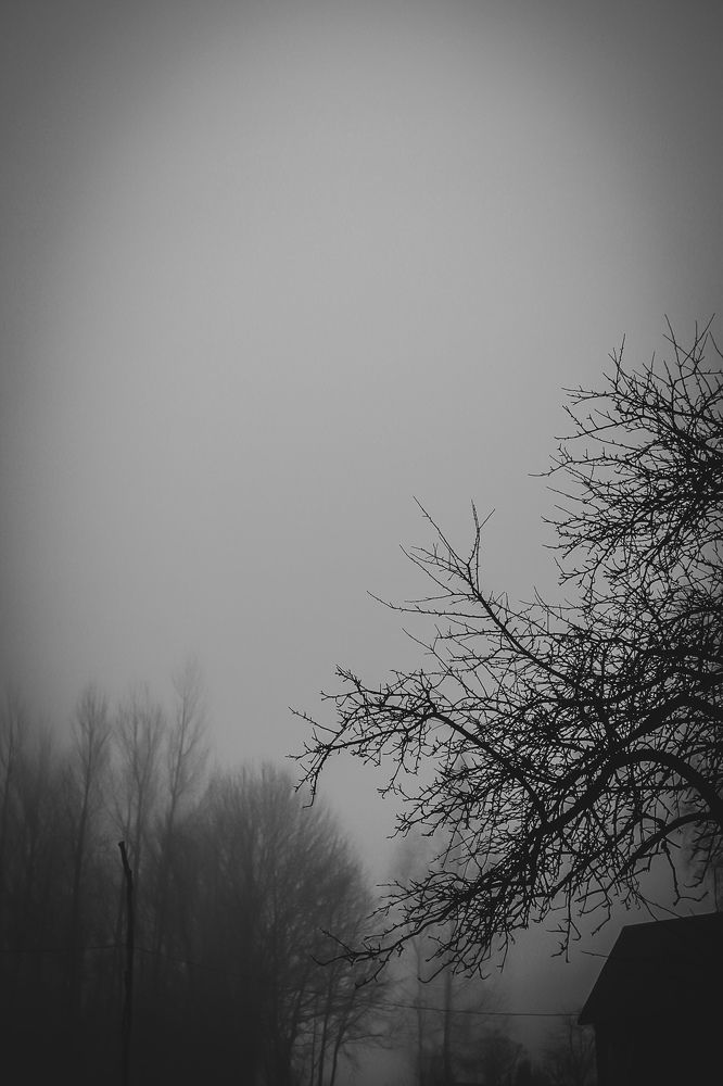 Photograph by Руслана Ковалевская