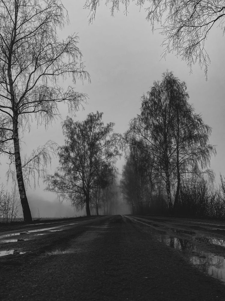 Photograph by Руслана Ковалевская