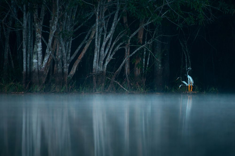 Photograph by Илана Шалакина