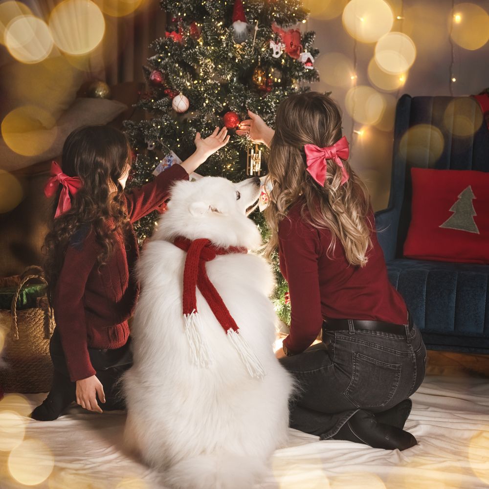 Photograph by Виктория Романенко