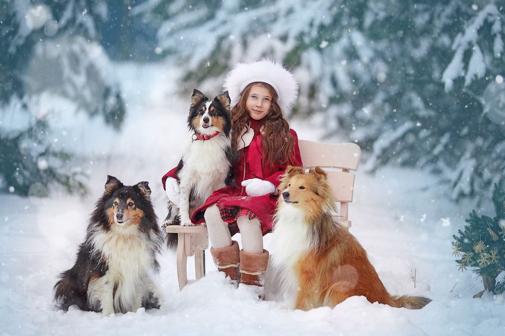 Фотография автора Тамара Дмитриева