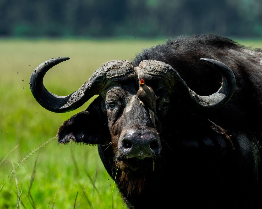 Фотография автора Joshy Varghese