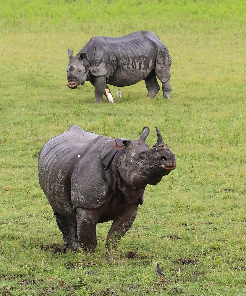 Photograph by Dhananjay J Thakur