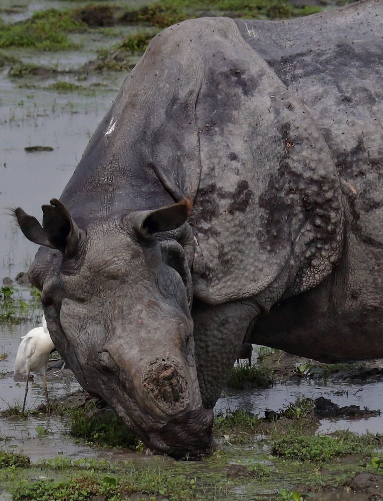 Photograph by Dhananjay J Thakur