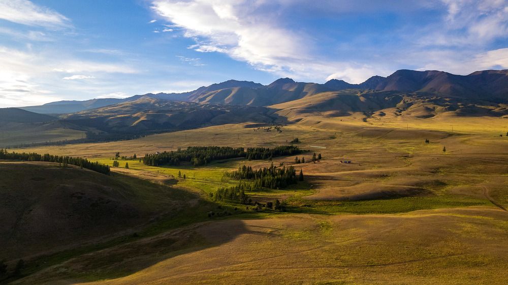 Фотография автора Totoro