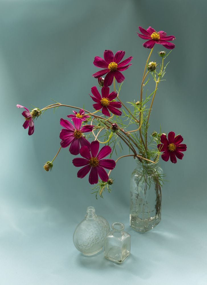 Фотография автора Tатьяна Дин