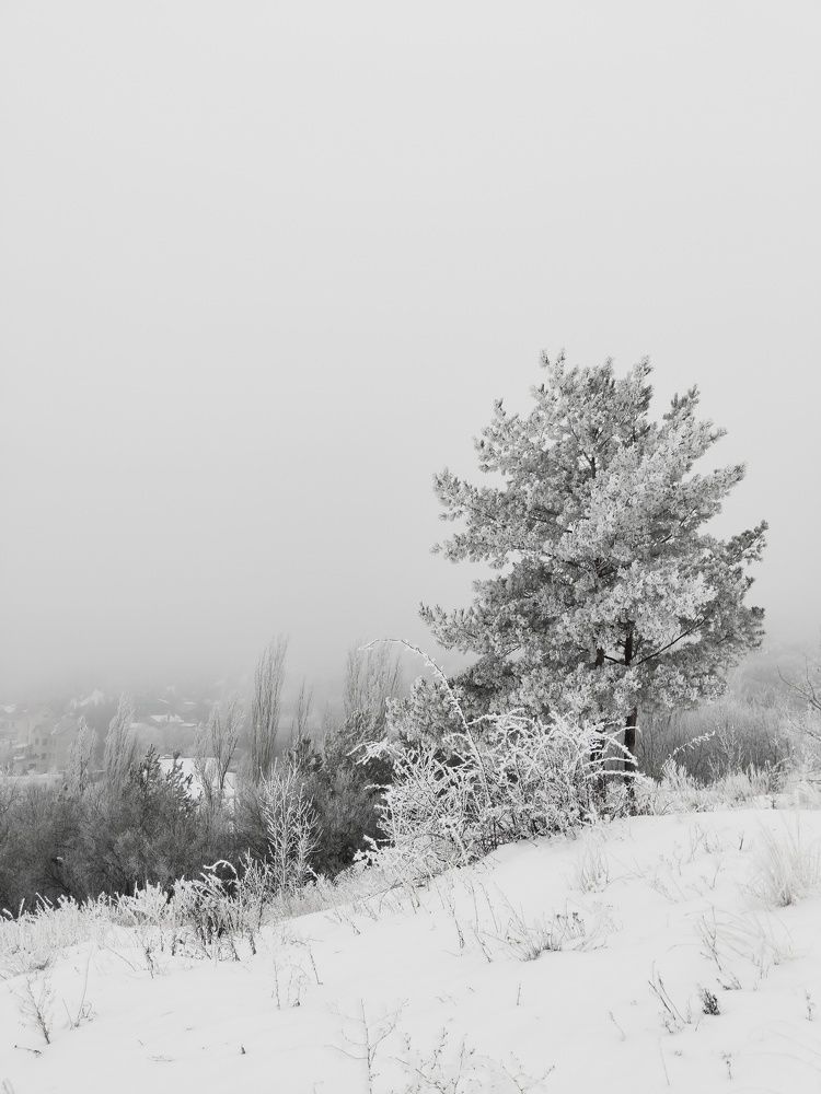Photograph by Ольга Чернова