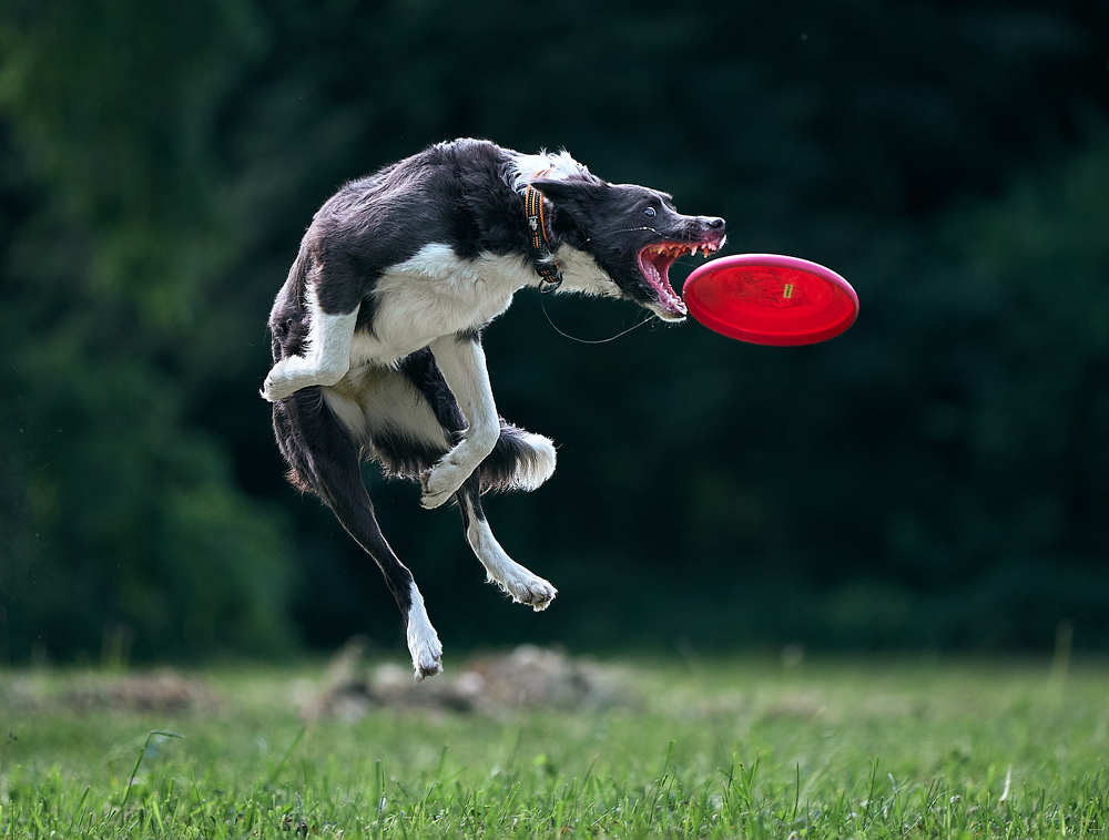 Photograph by Mikhail Khmelevskiy