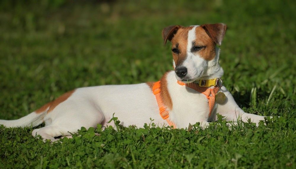 Photograph by Михаил Трусов