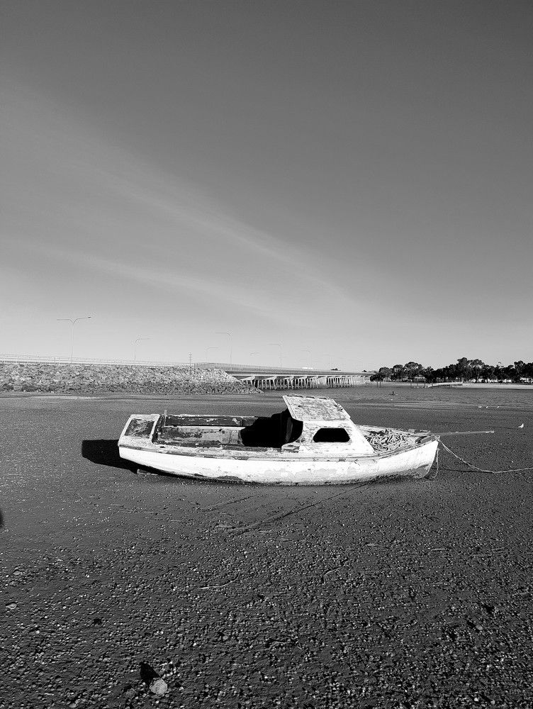 Photo #11559592