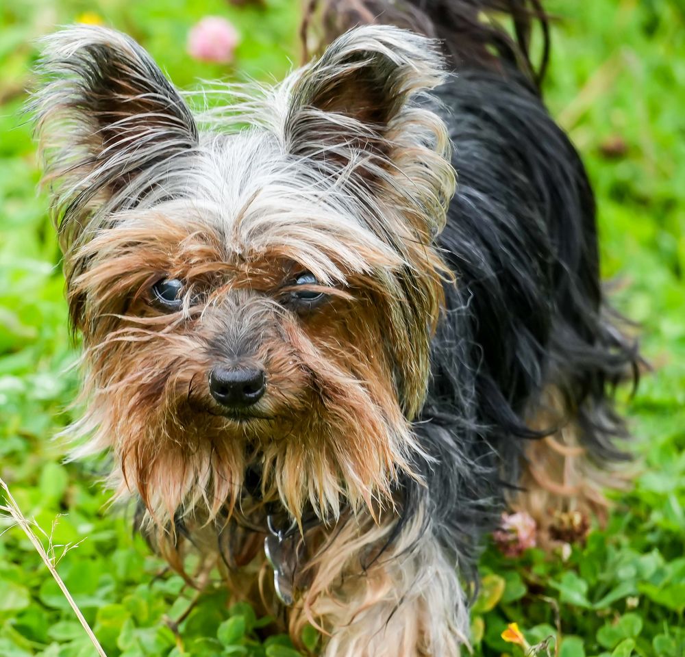 Photograph by Михаил Трусов