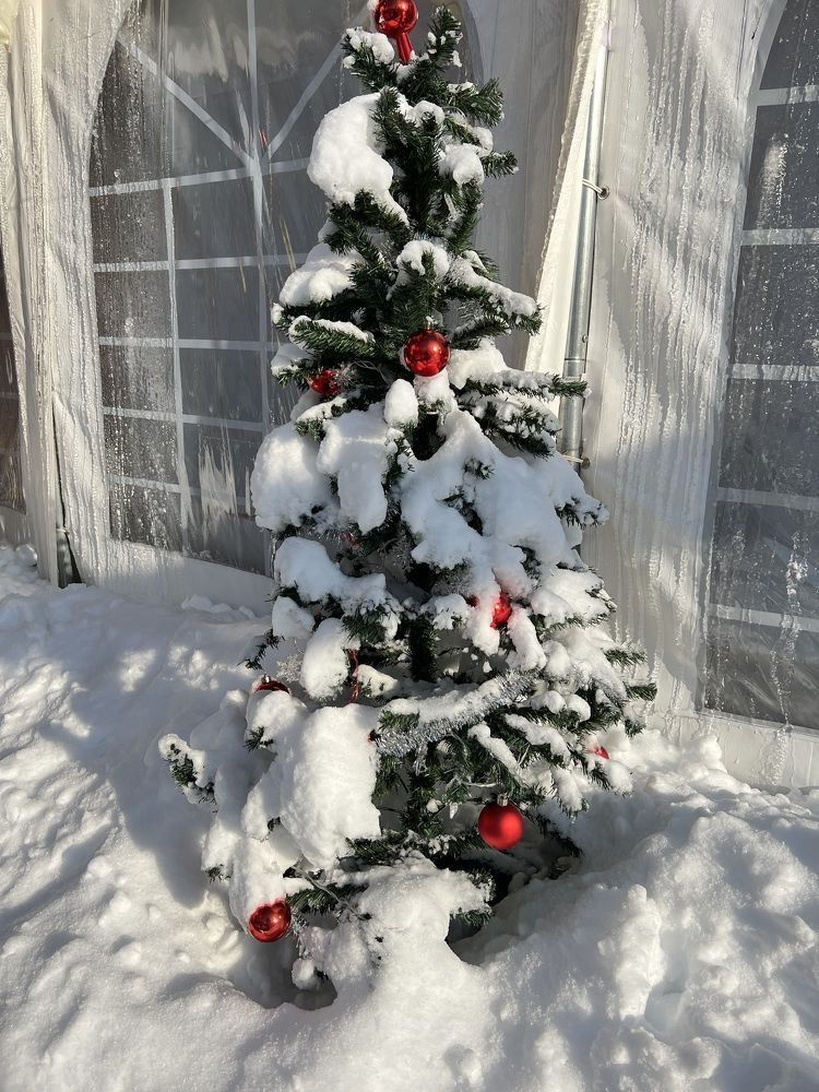 Photograph by Eugenia Schmidt