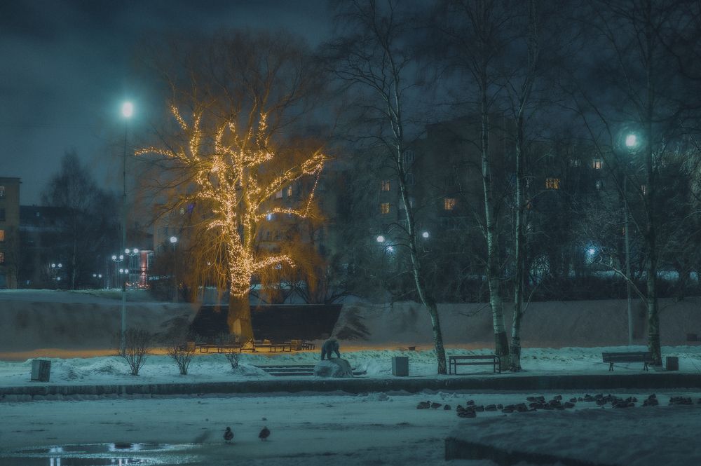 Photograph by JEINER CASTRO