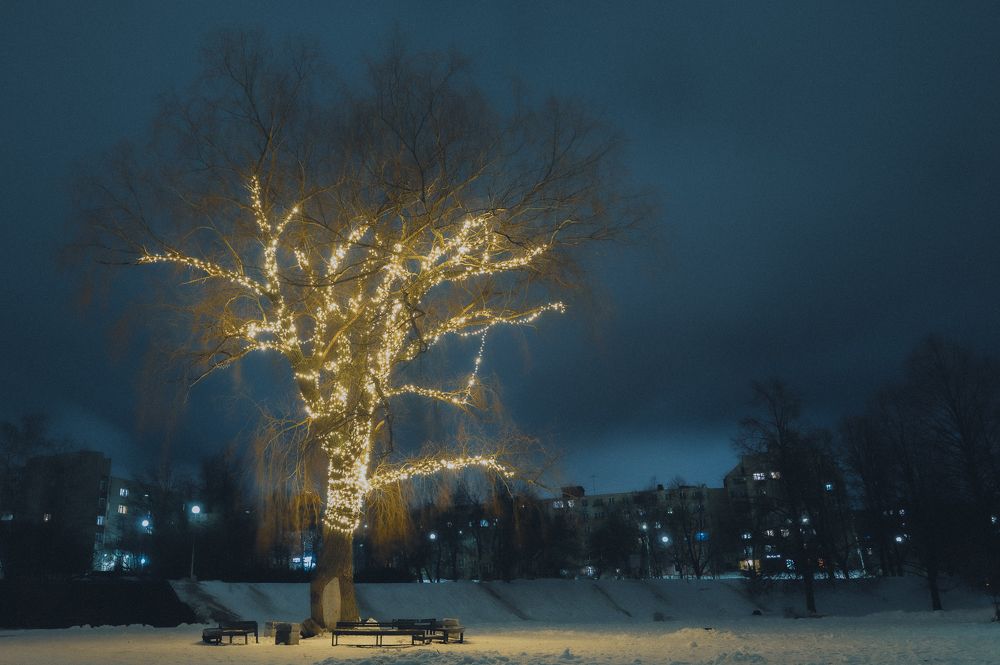 Photograph by JEINER CASTRO