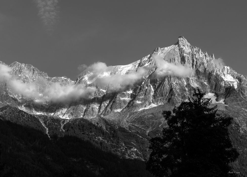 Фотография автора Ioana Crisan