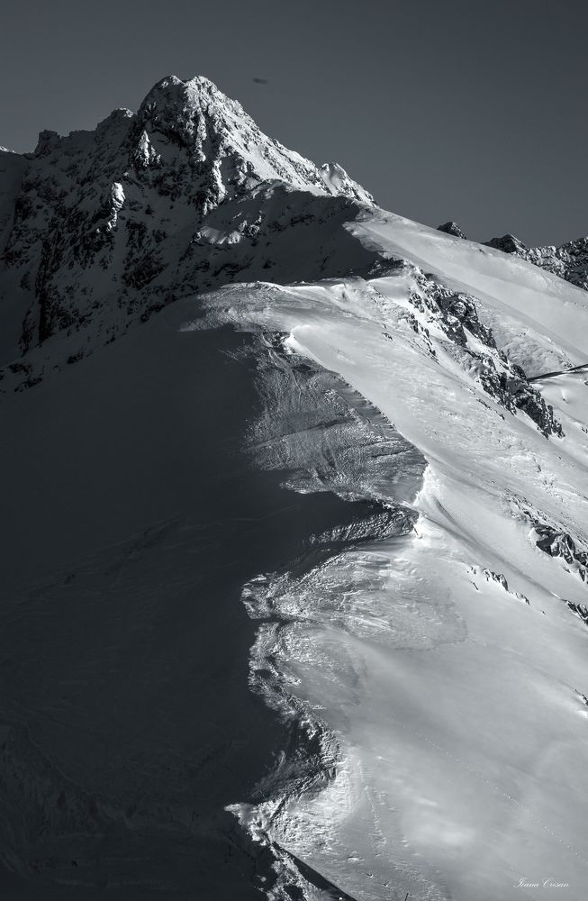 Фотография автора Ioana Crisan