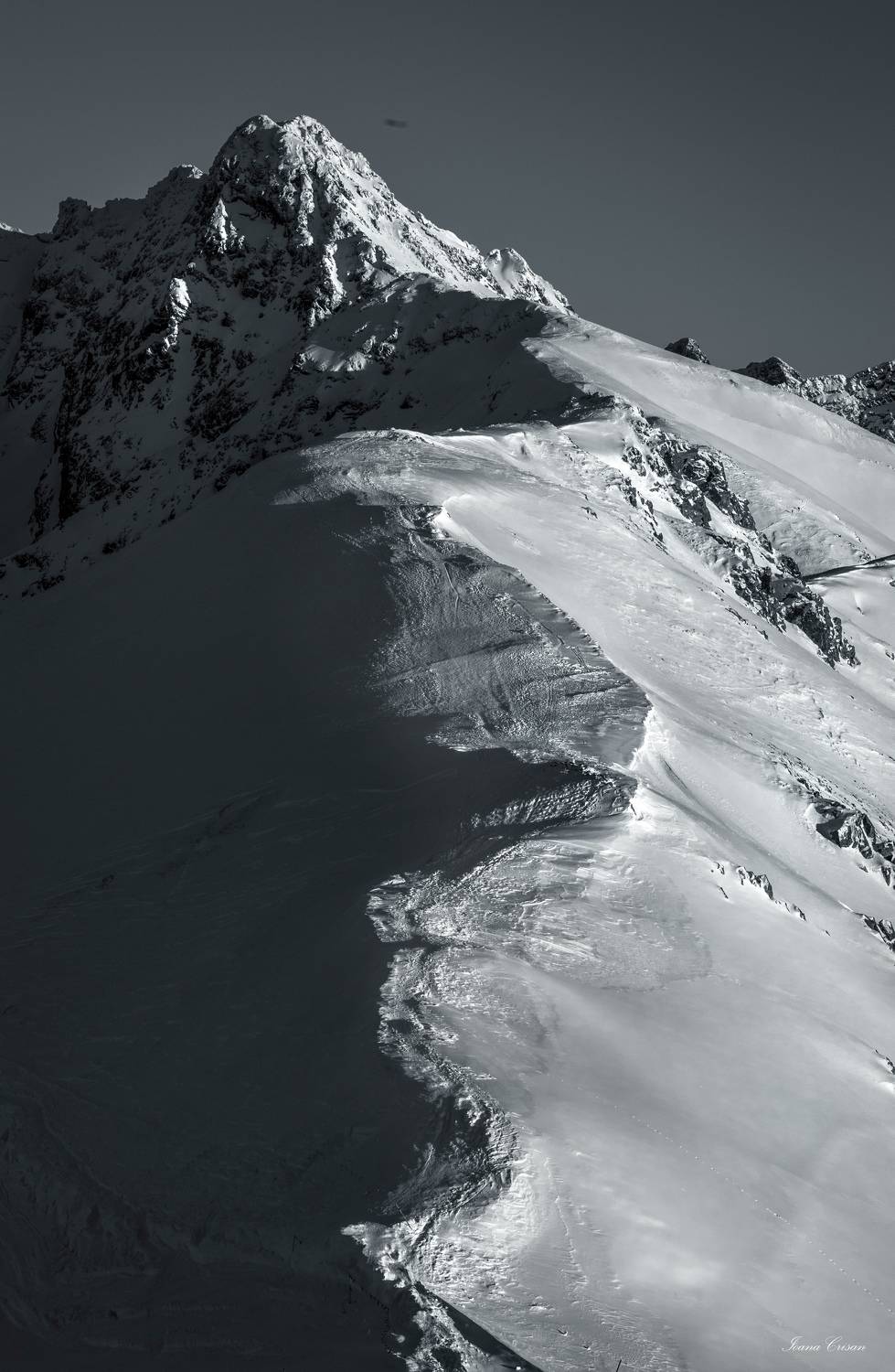 Фотография #11559745