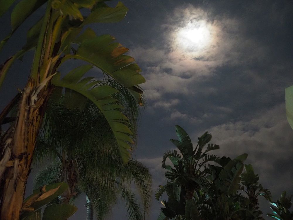 Photograph by Сергей Борисов