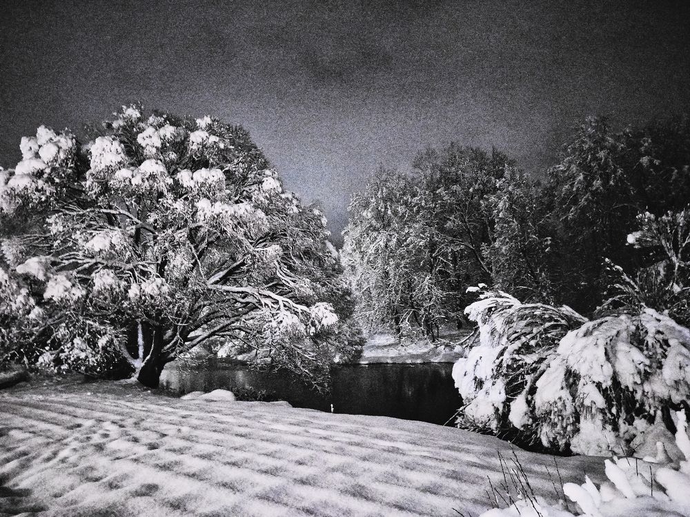 Photograph by Вероника Архипова