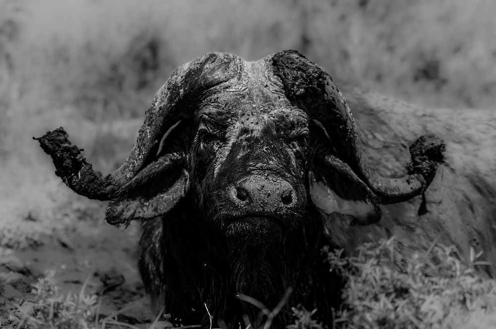 Фотография автора Sajeev Krishnan