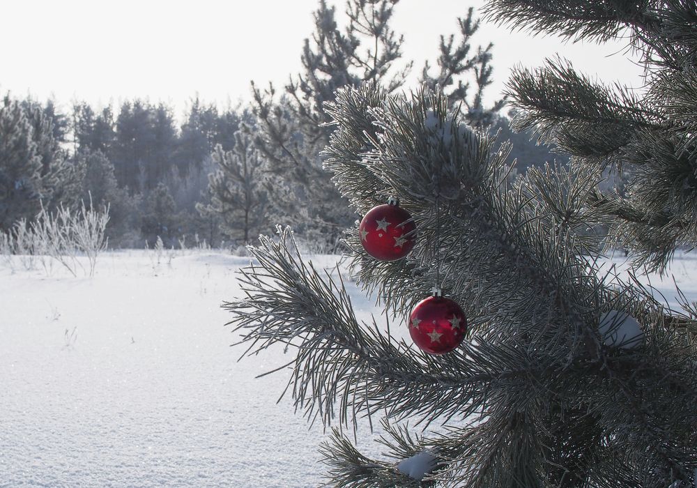 Фотография автора Svetlana Inyusheva