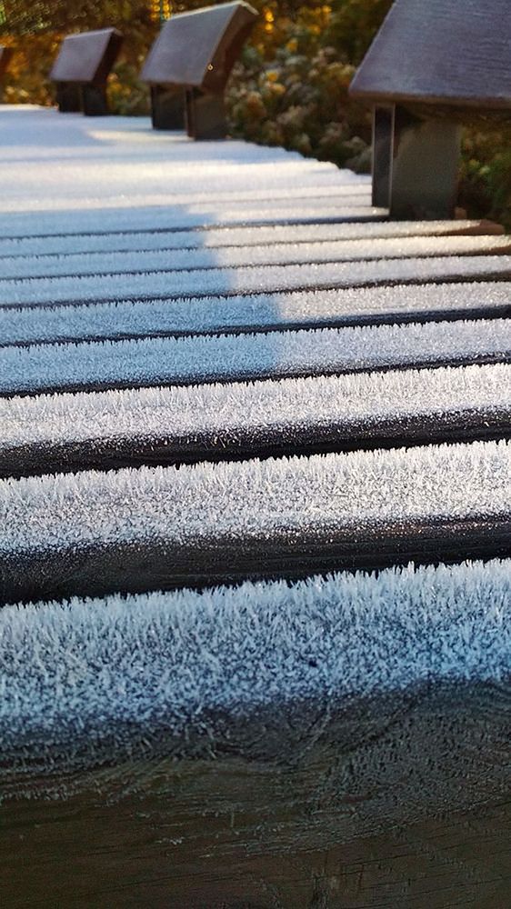 Photograph by Милена Полтавец