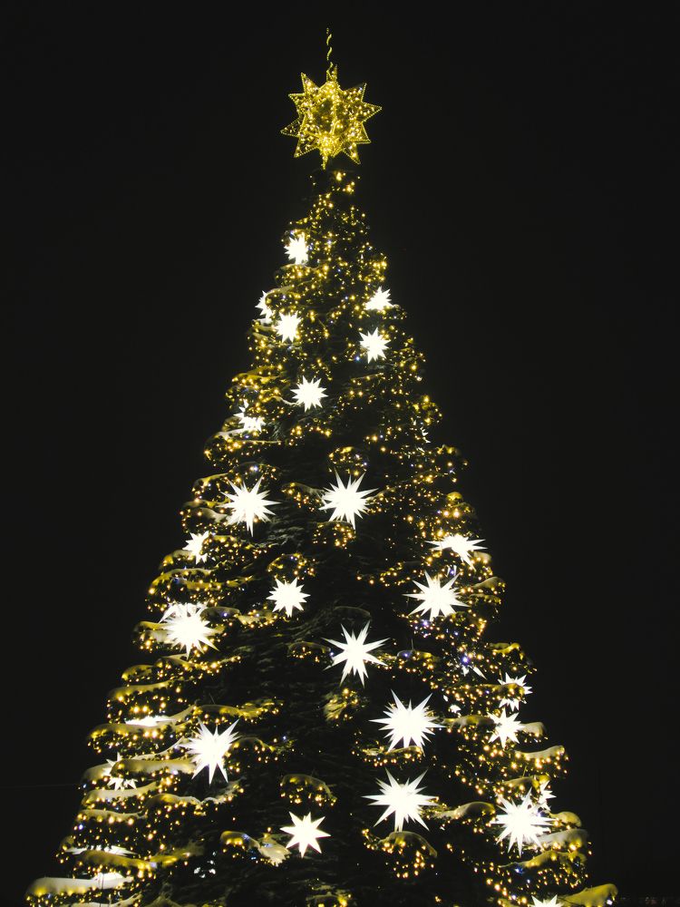 Photo #11559914