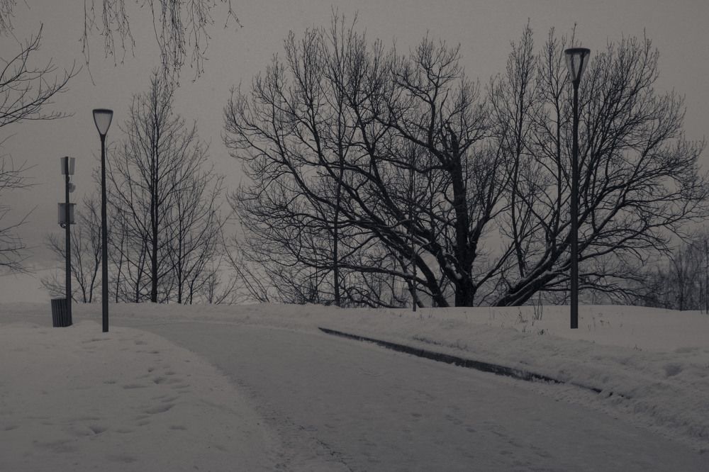 Photograph by Громова Мария