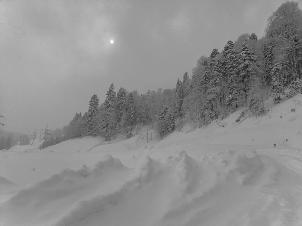 Фотография автора Татьяна Сергиенко