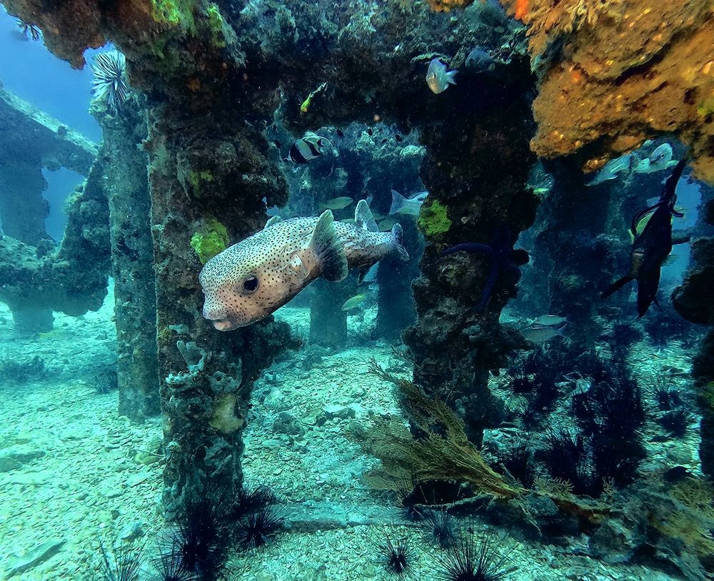 Photograph by Игорь Чернышов