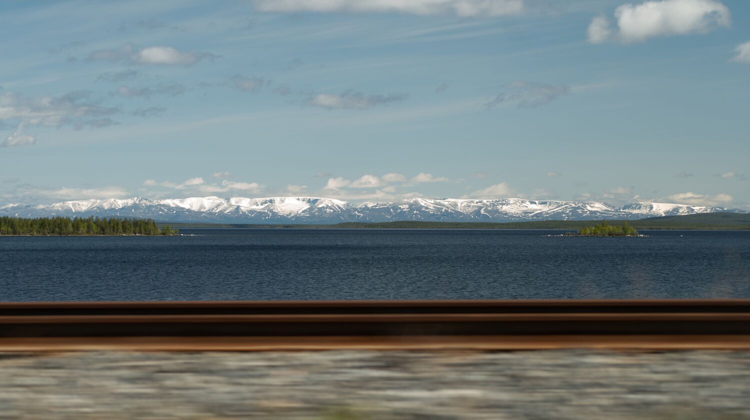 Photo #11559992
