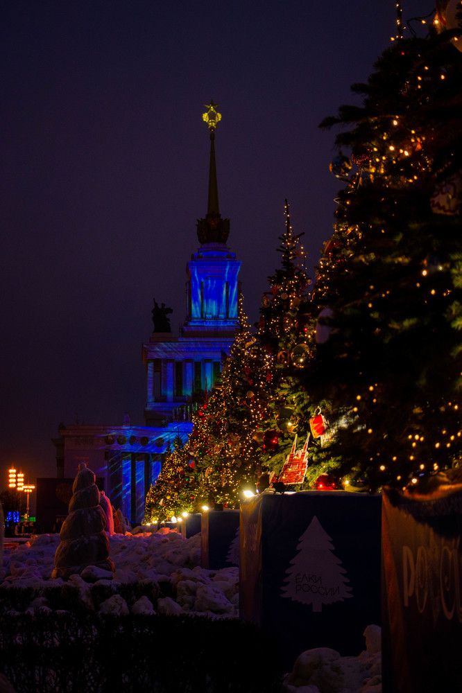 Photograph by Ксения Щукина