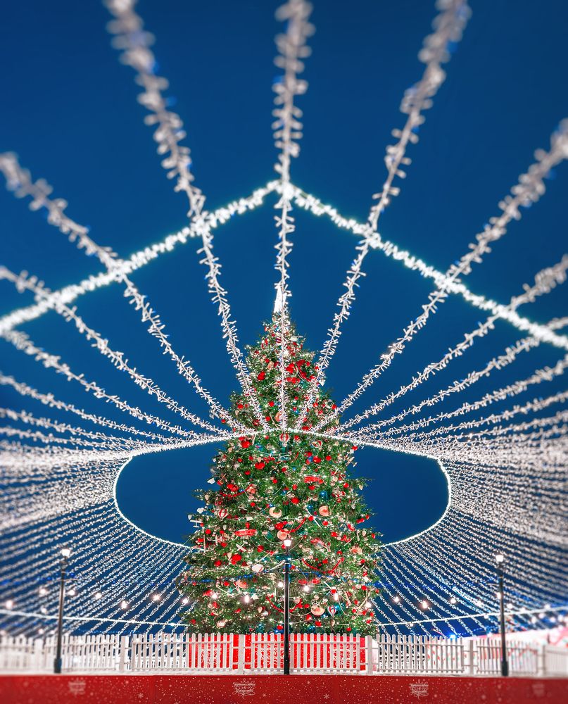 Фотография автора Анастасия Мазурева