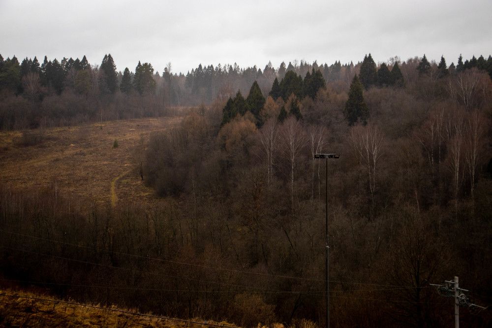 Photograph by Ксения Щукина
