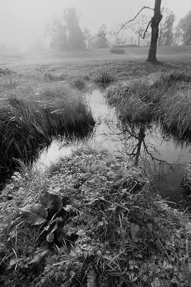 Photograph by Смирнов Алексей