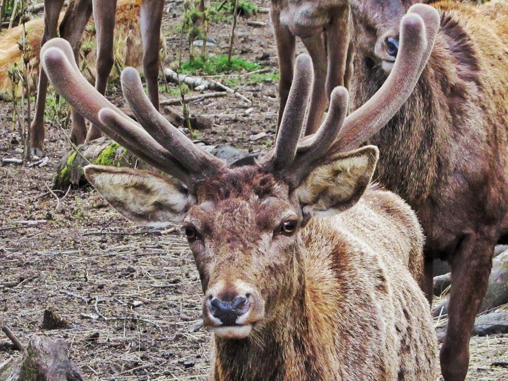 Фотография автора Paula Torrent