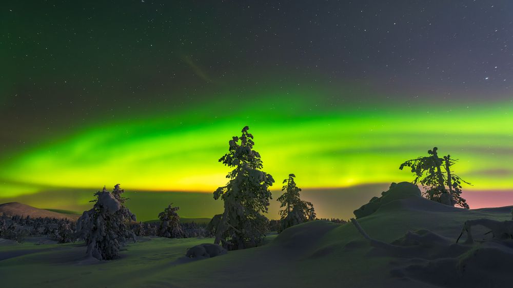 Фотография автора Mika Mgla