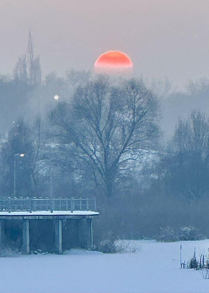 22 декабря 2024