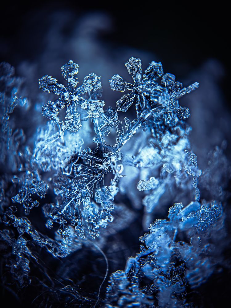 Photograph by Елена Макеева