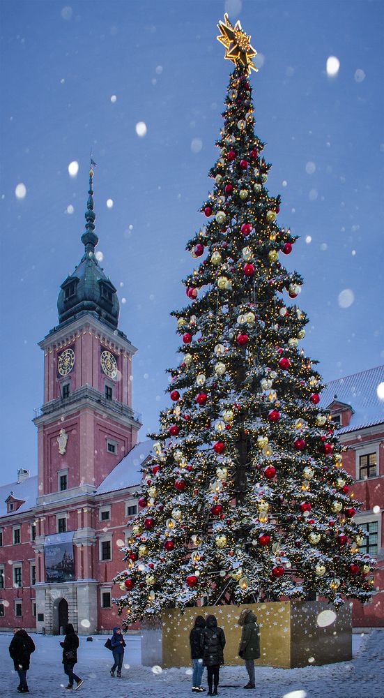 Poland's main сhristmas tree