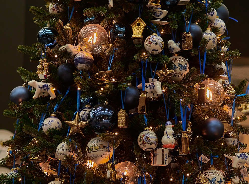 Фотография автора Ekaterina Palant