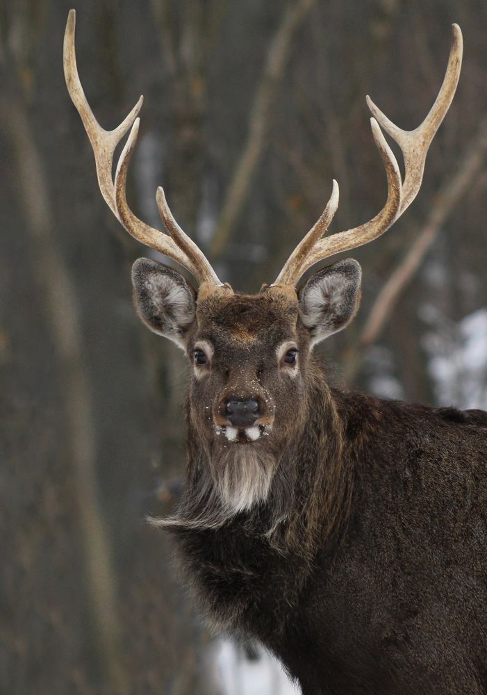 Фотография автора Ольга Заповедная