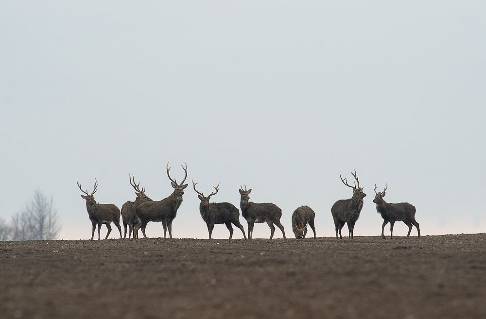 Photograph by Александр Гребенев