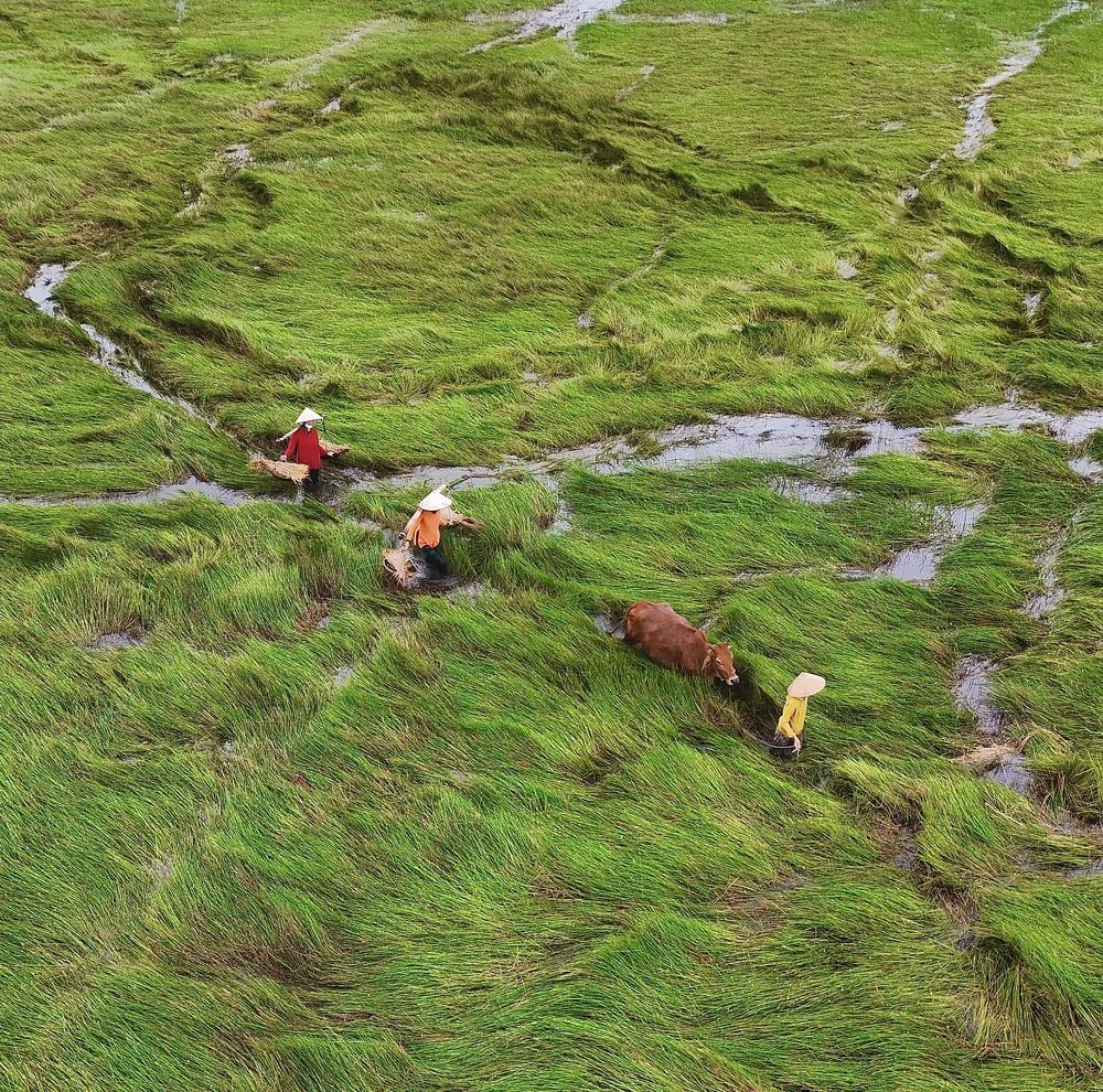 Photograph by Nguyen Xuan Anh