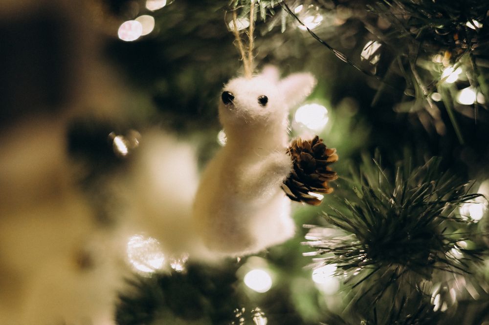 Photograph by Светлана Фоменко