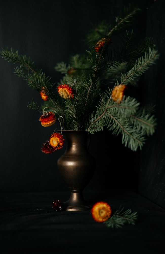 Photograph by Elena Kilina