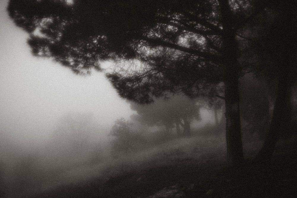 Photograph by Ольга Солодилова